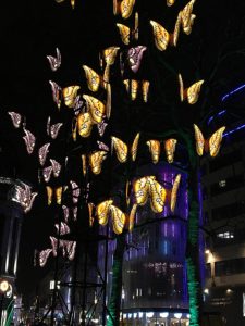 glowing wild garden - butterflies