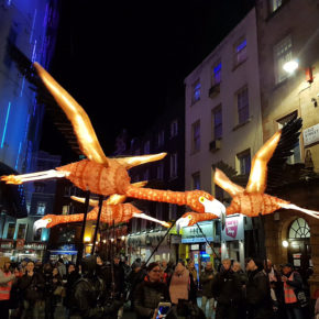 Lumiere Festival of Light in London - birds
