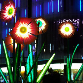 Lumiere Festival of Light in London - flowers