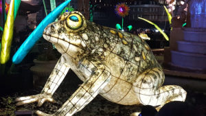 Lumiere Festival of Light in London - frog