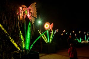 Flowers - City of Lights - Habitats - Lantern Company - Liverpool - photo credits: Mark Loudon - Mark McNulty