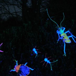 Insects - City of Lights - Habitats - Lantern Company - Liverpool - photo credits: Mark Loudon - Mark McNulty