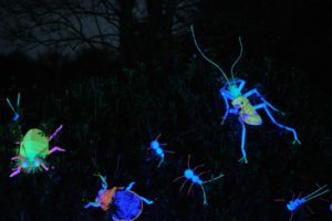 Insects - City of Lights - Habitats - Lantern Company - Liverpool - photo credits: Mark Loudon - Mark McNulty